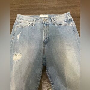 Flying Monkey Distressed Skinny Jeans